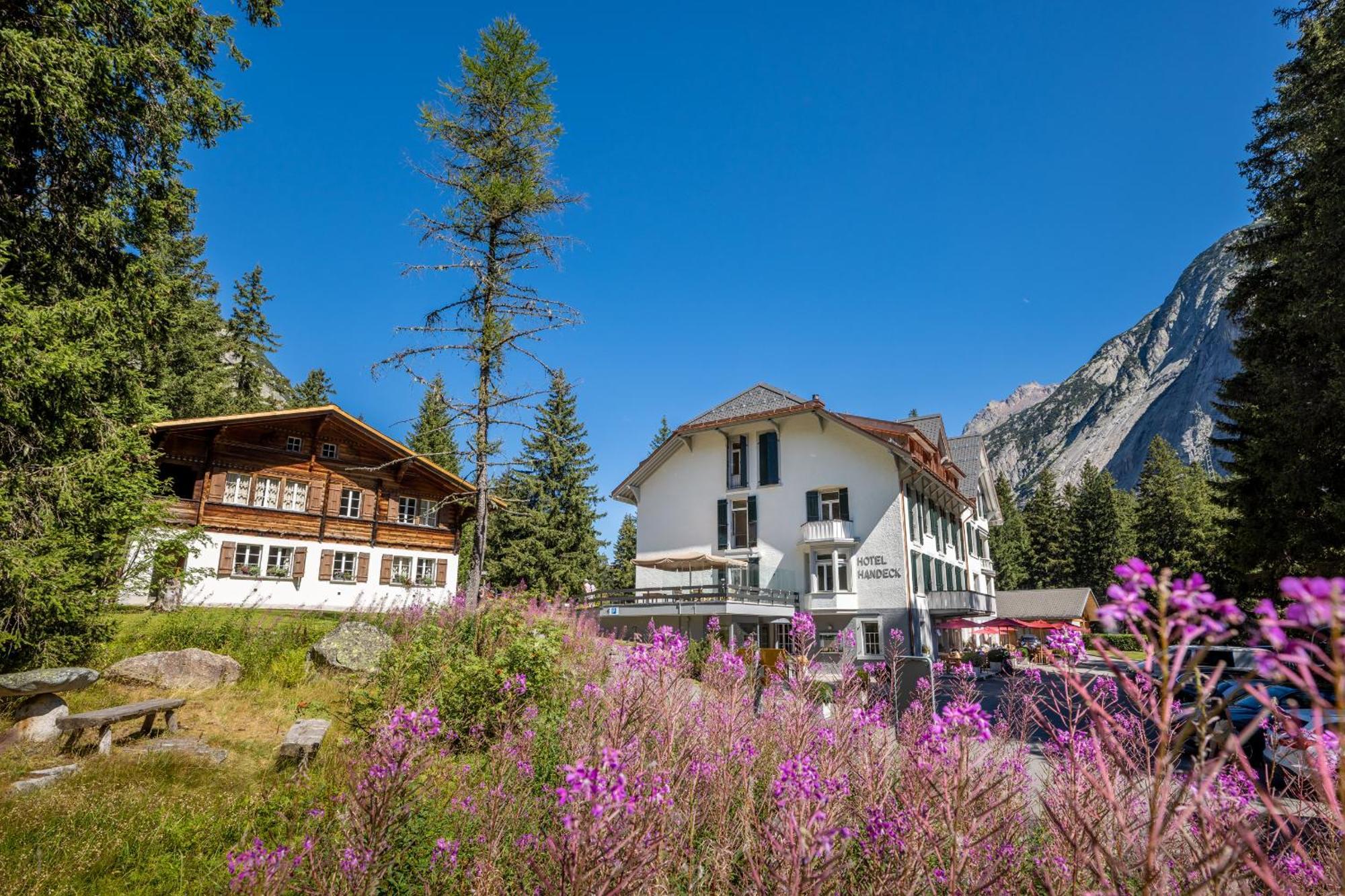 Guttannen Hotel Und Naturresort Handeck מראה חיצוני תמונה